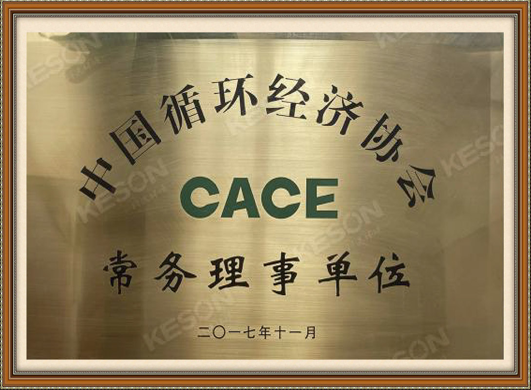 Vice President Unit of China Investment Association